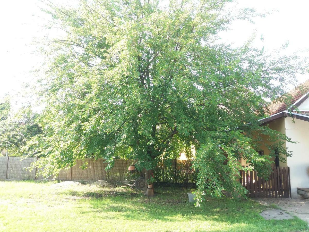 Villa Harsfak Mezokovacshaza Exterior foto